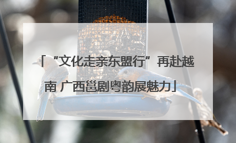 “文化走亲东盟行”再赴越南 广西邕剧粤韵展魅力